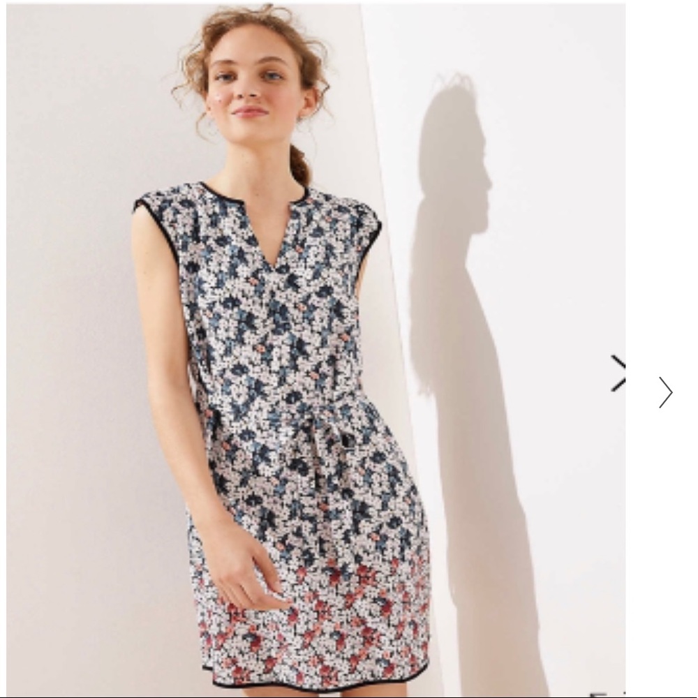 NWT Loft Ruffle Sleeve floral tie waist dress